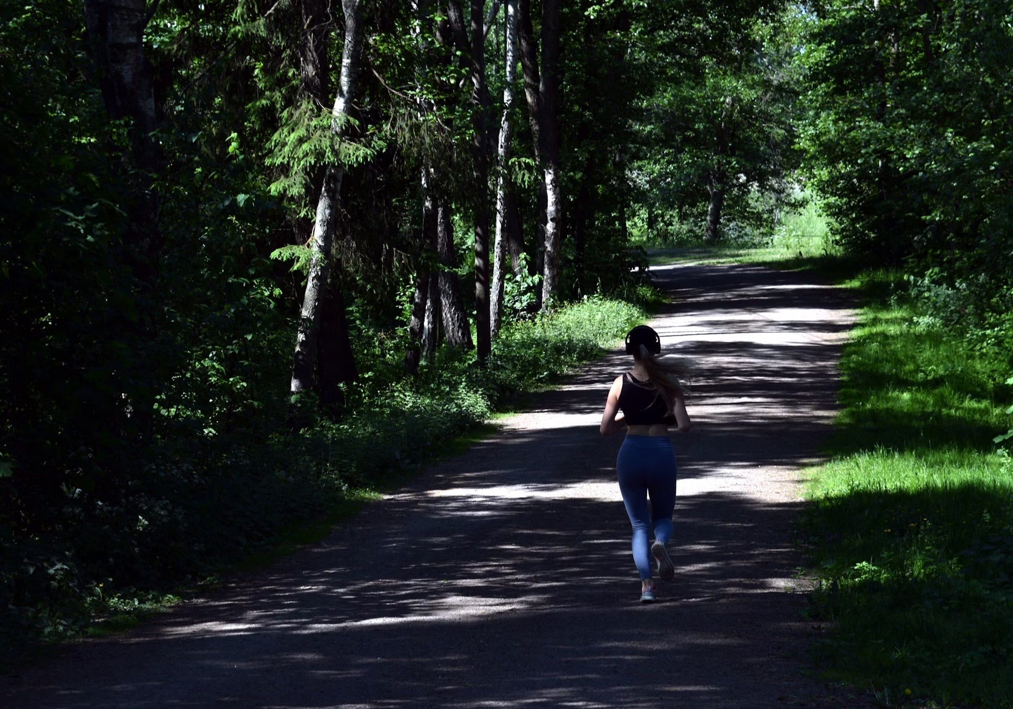 The Benefits of a Carnivore Diet for Cardio Performance – Homegrown ...
