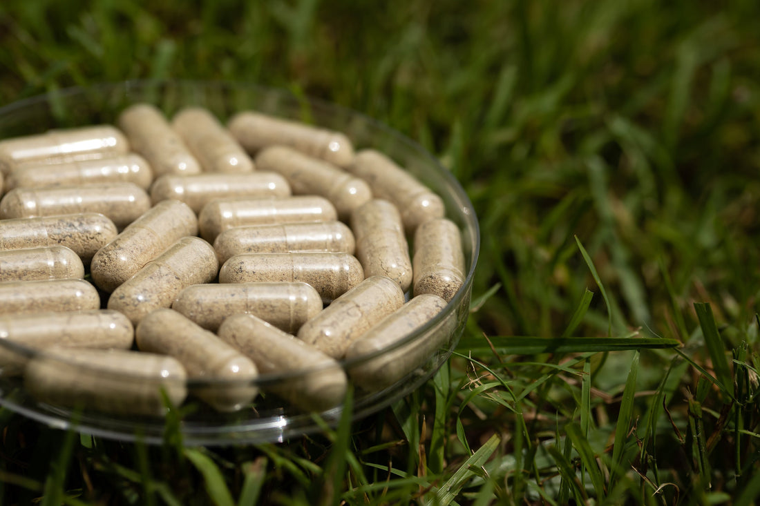 Freeze-dried, 100% grass-fed and finished beef organ supplements