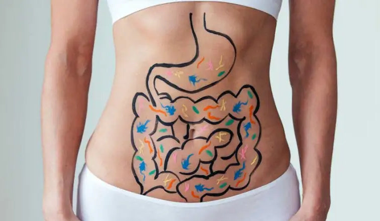 Low Stomach Acid and Digestion: How to Optimise Nutrient Absorption Naturally