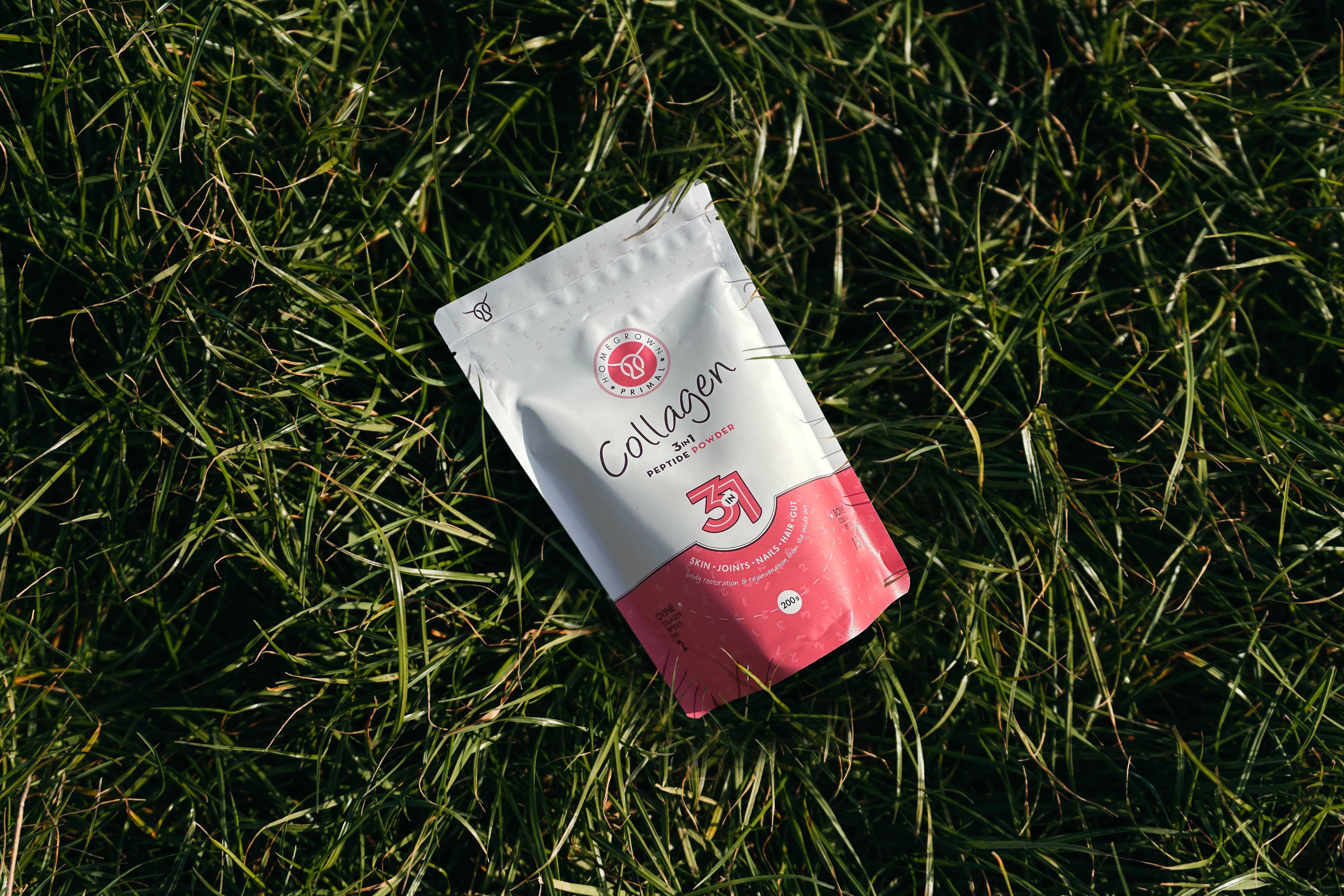 Type IV Collagen: The Collagen Beneath the Surface