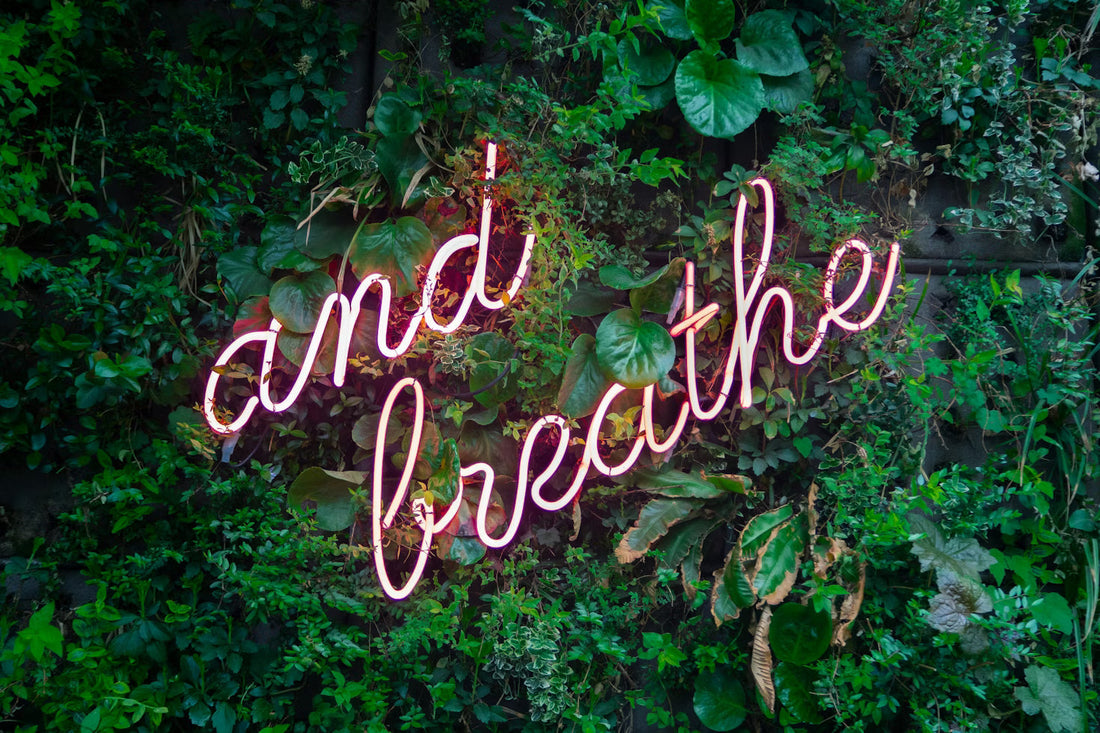 How To Stay Calm And Support Your Immune System In Today's Chaos