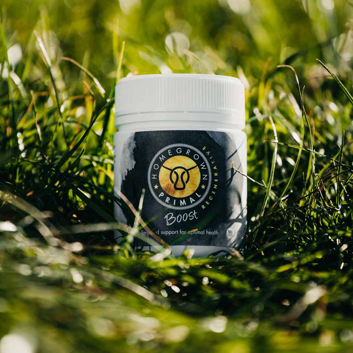 BOOST POWDER  |  Liver